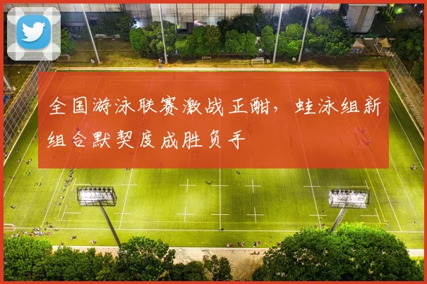 全国游泳联赛激战正酣，蛙泳组新组合默契度成胜负手